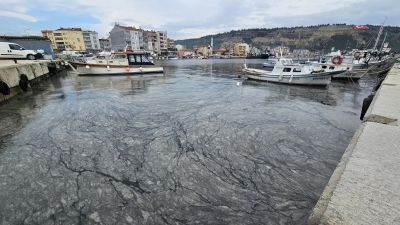 Προβλήματα στα Δαρδανέλια απ τη θαλάσσια βλέννα που βγαίνει πια και στο Αιγαίο