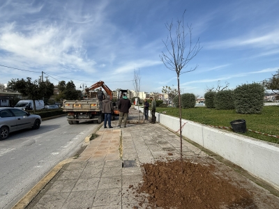 Δενδροφύτευση στον Μακρύ Γιαλό