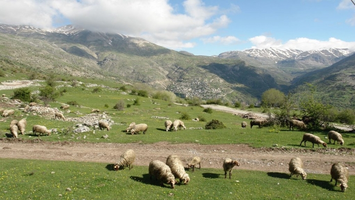 Βάζουν πλάτη, αναλαμβάνοντας ευθύνες άλλων!