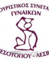 Τα γλυκά του γάμου στον Μεσότοπο