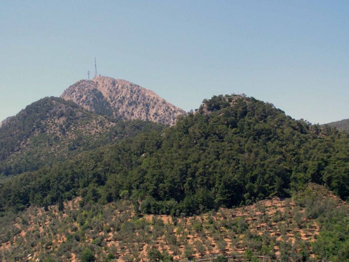 Ο Αυγερινός του 1447