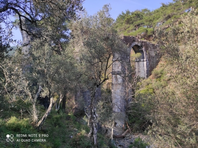 Καθάρισμα στο &quot;Τσαμλίκ&quot; κάναμε ή καμώς;