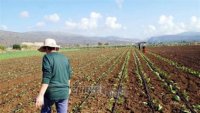 Χάνονται οι επιδοτήσεις 1,5 εκατ. στρεμμάτων