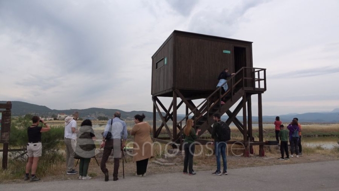 Aπό παλαιότερη εξόρμηση παρατήρησης πουλιών στις Αλυκές Καλλονής 