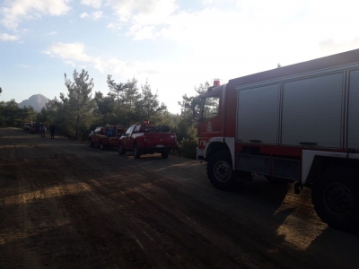 update: Υπό έλεγχο η φωτιά στο Καμμένο Δάσος