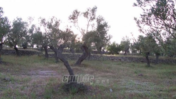 Προσωρινή κατάσταση πληρωμής για τα σέτια