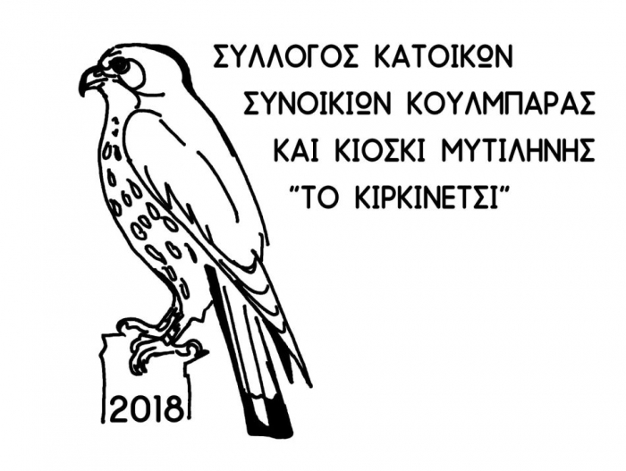 «Δρόμοι του νερού στη γειτονιά μας»