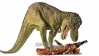 O T-Rex ήταν μεγαλύτερος απ’ όσο πιστεύαμε