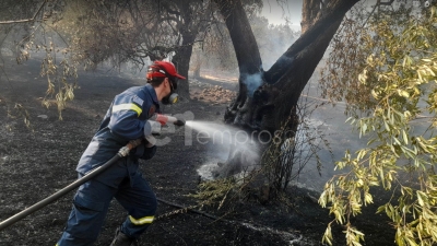 Στιγμιότυπο από την μάχη κατάσβεσης που δίνεται αυτές τις ημέρες στην Λέσβο 