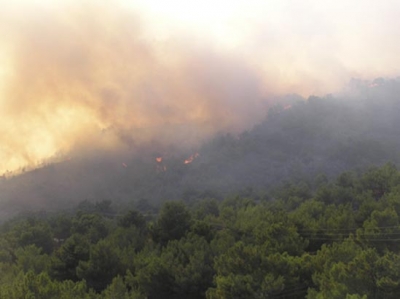 Αποζημιώσεις για τη φωτιά της Χαραμίδας!