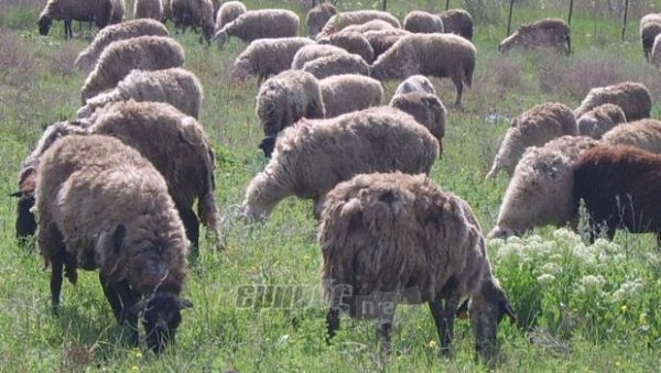 Χωρίς καταρροϊκό η Λέσβος