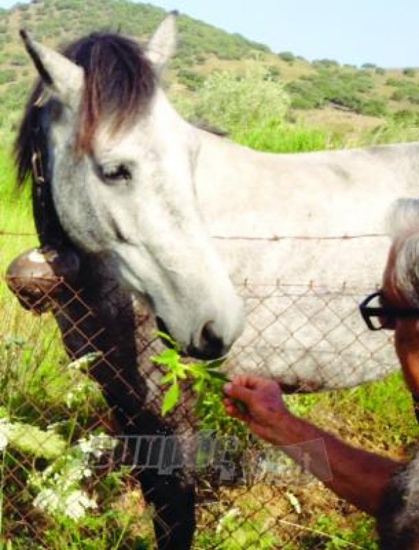 Θύμα κι ο Ποσειδώνας των συμφερόντων