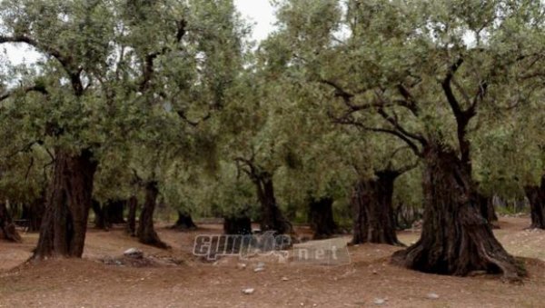 Πληρωμή επιδοτήσεων όπως - όπως 