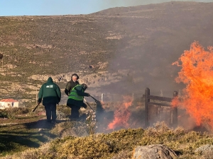 Σβήστηκε η φωτιά κοντά στο Πάρκο Απολιθωμένου Δάσους Πλάκας