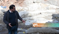 Τα νέα ευρήματα στα Νέα Πάρκα Απολιθωμάτων κατά μήκος του οδικού άξονα Καλλονής-Σιγρίου