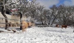 Καταιγίδες, χιονοπτώσεις και άνεμοι έως 9 BF