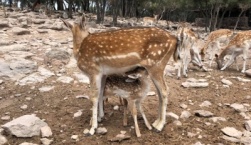 Εκπαιδευτικές επισκέψεις στο Ακράσι, Αμπελικό και Νεοχώρι Λέσβου