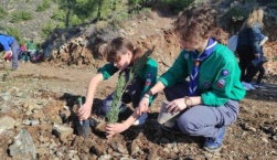 Δεκάδες δένδρα φυτεύτηκαν από τα παιδιά των Προσκοπικών Ομάδων της Μυτιλήνης